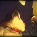 letthechaosreign avatar