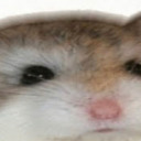 lettt-itfloww avatar