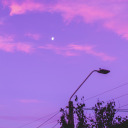 lettucebeseventeen avatar