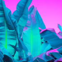 lettucethink22 avatar