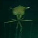 lev-eye-athan avatar