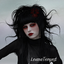 levanatempest-blog-blog avatar