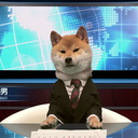 leviackerman97 avatar