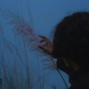 levitt-anderson avatar