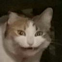 lewdfox-yiffstash avatar