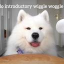 lex-astra-626 avatar