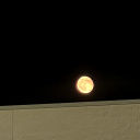 lexaproathlete avatar