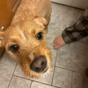 lexiesdownwardspiraling avatar