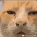 lexilonelystar17 avatar