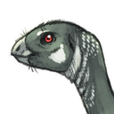 lexovisaurus avatar