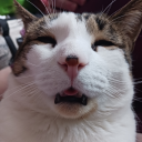 lexsreadingcorner avatar