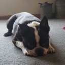 lexymiller-68 avatar