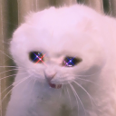 leys-thoughts avatar