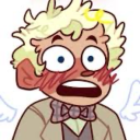 lezbeanperson avatar