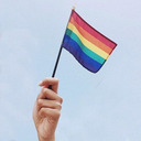 lgbt-boards avatar