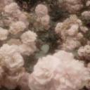 liadreamyspace565 avatar