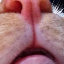 liam-is-awesome-01 avatar