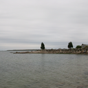 liberalmurse-blog avatar