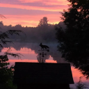 liberatedlesbian avatar