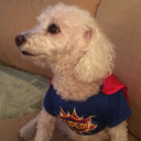 liberatingdreamvoid avatar