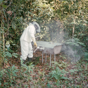 liberiapurehoney avatar