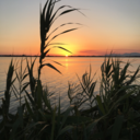 liberoarbitrio66-blog avatar