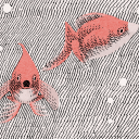 libralibraries avatar