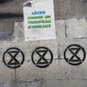 librarianatheart avatar