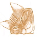 libraryofleos avatar