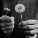 libro-de-una-vida-suicida avatar