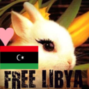 libyanbunny-blog avatar