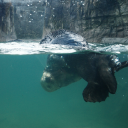 licencetokrill avatar