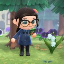 lichencrossing avatar