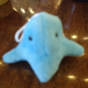 lichenettic-pos avatar