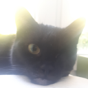 licho-nie-spi avatar