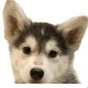 liciasmindmap avatar