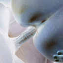 lickthensticku avatar