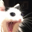 licordamendoa avatar