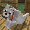 liddlecritter avatar