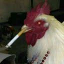 lider-das-capivaras avatar