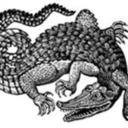 lie-as-in-a-dream avatar