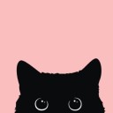 liebediefreiheit avatar