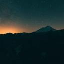 liesandscraps avatar