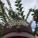 lietomeseavey avatar