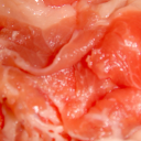 life-0n-marsz avatar