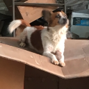 life-and-signs-thereof avatar