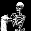 life-does-not-forgive-weakness avatar