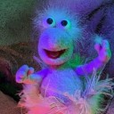 life-in-a-bag avatar