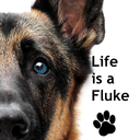 life-is-a-fluke-official avatar