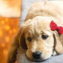 life-is-a-jokesstuff avatar